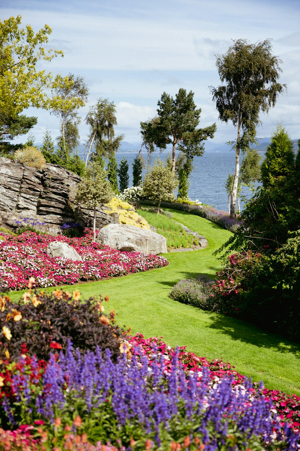 a lush green field filled with lots of flowers