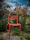 A stylish swivel patio chair placed beside blooming flowers in a sunny garden.