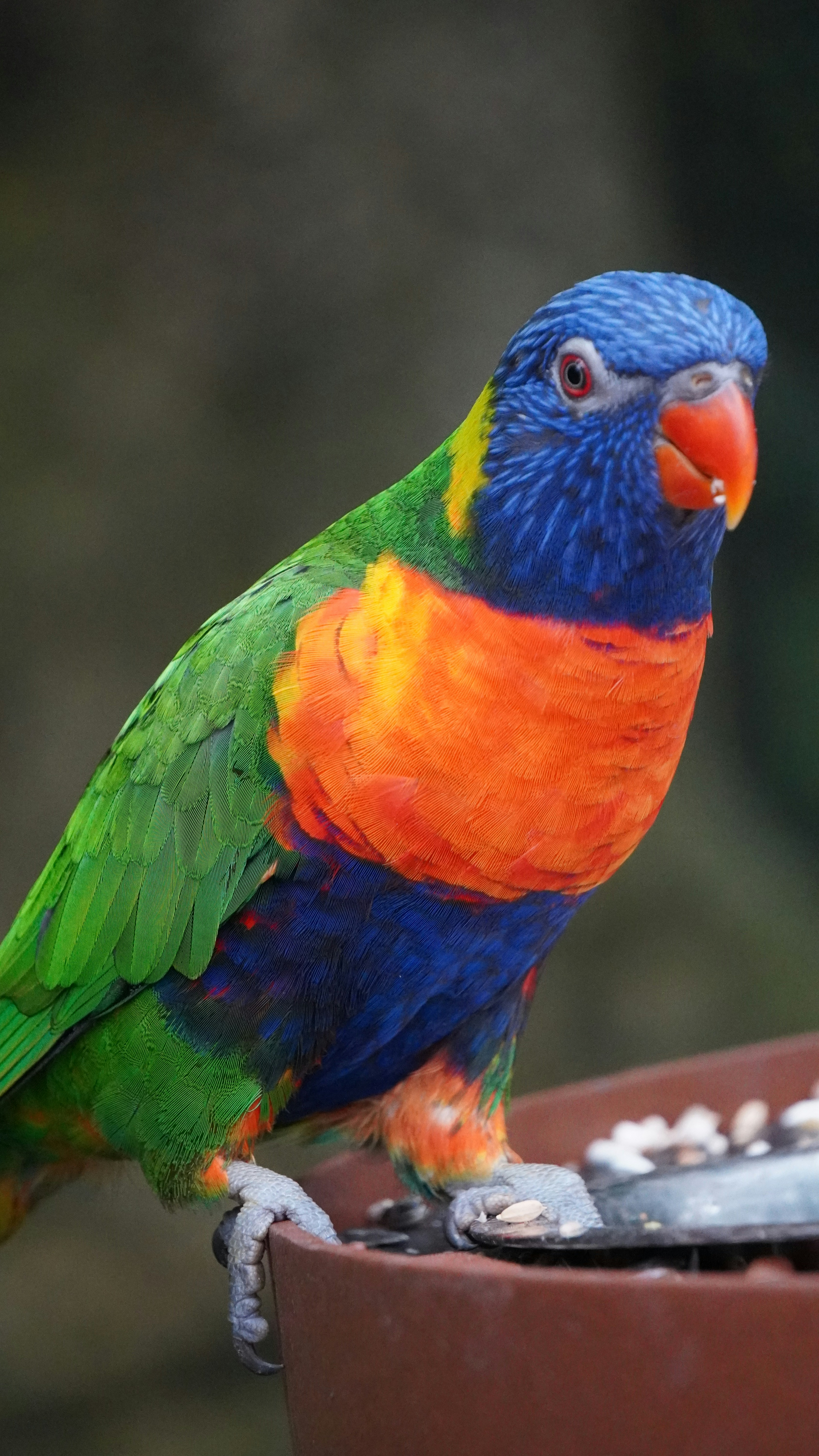 Photo by eyesonperspective