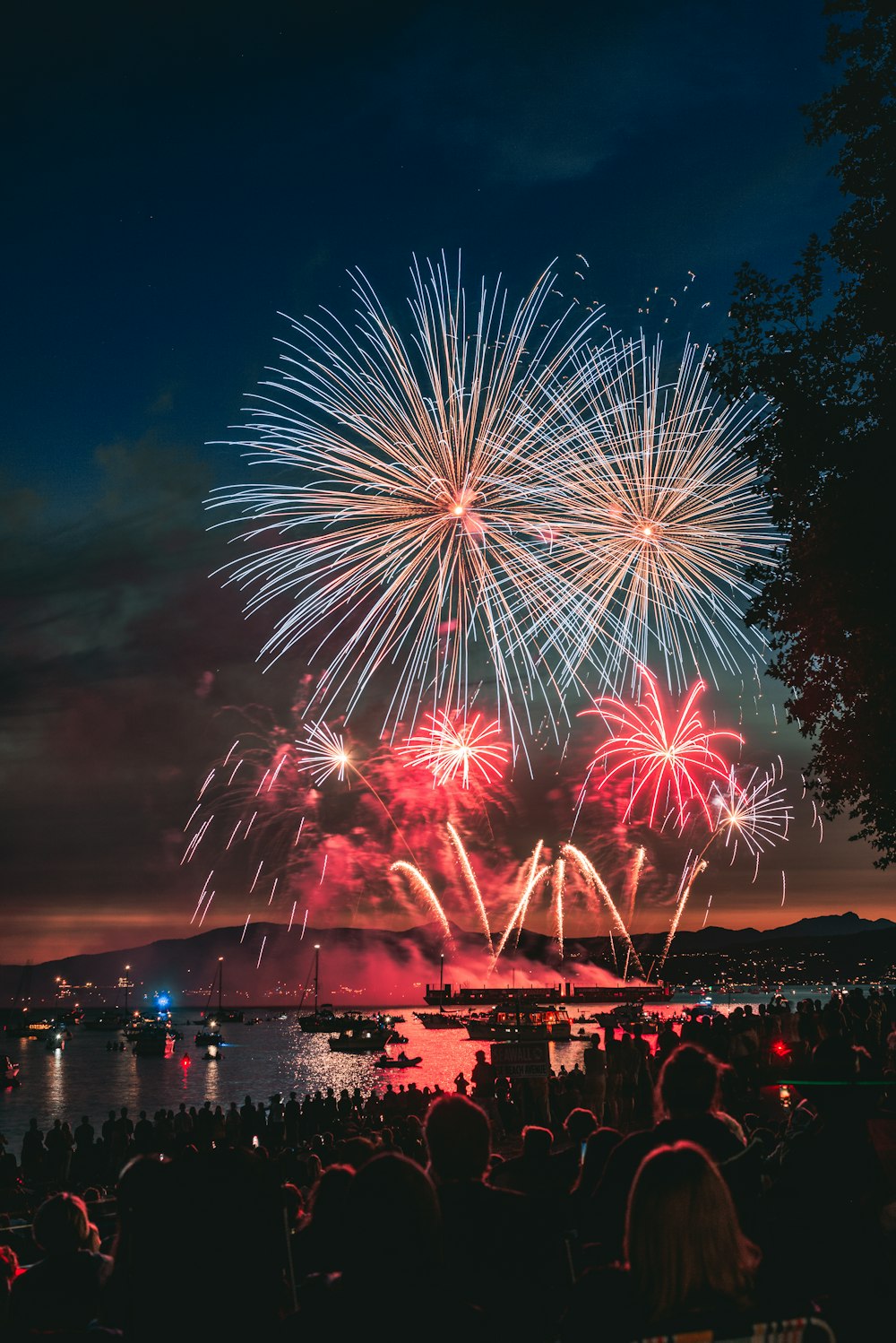 a crowd of people watching a fireworks display