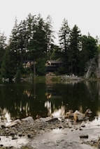 a large body of water surrounded by trees