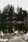 a large body of water surrounded by trees