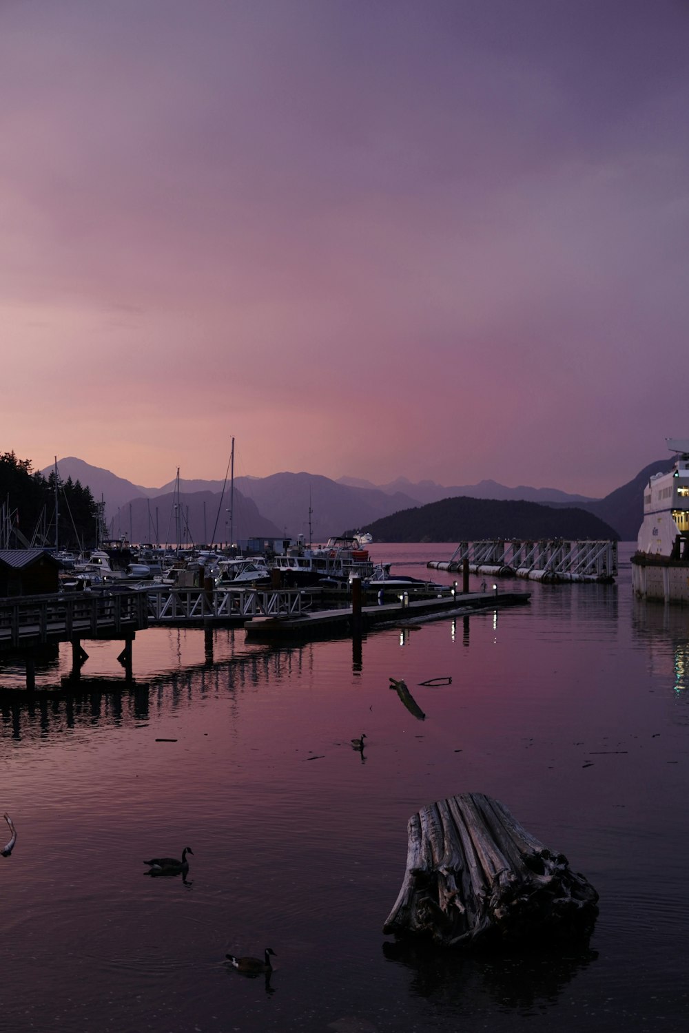 a body of water with a bunch of boats in it