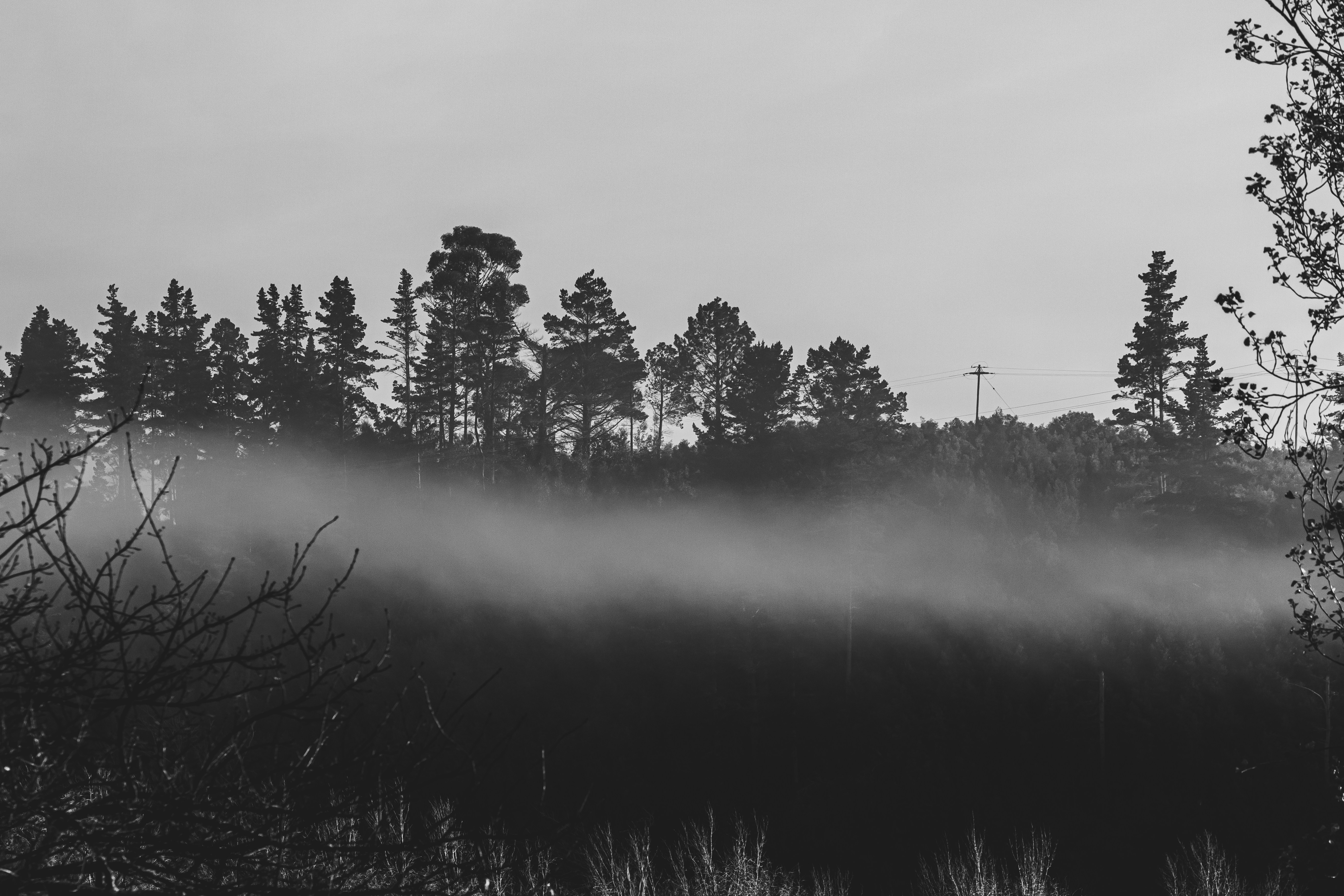 Photo by luwadlinbosman