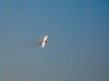 A radar screen capture highlighting an unidentified aerial phenomenon moving at high speed.