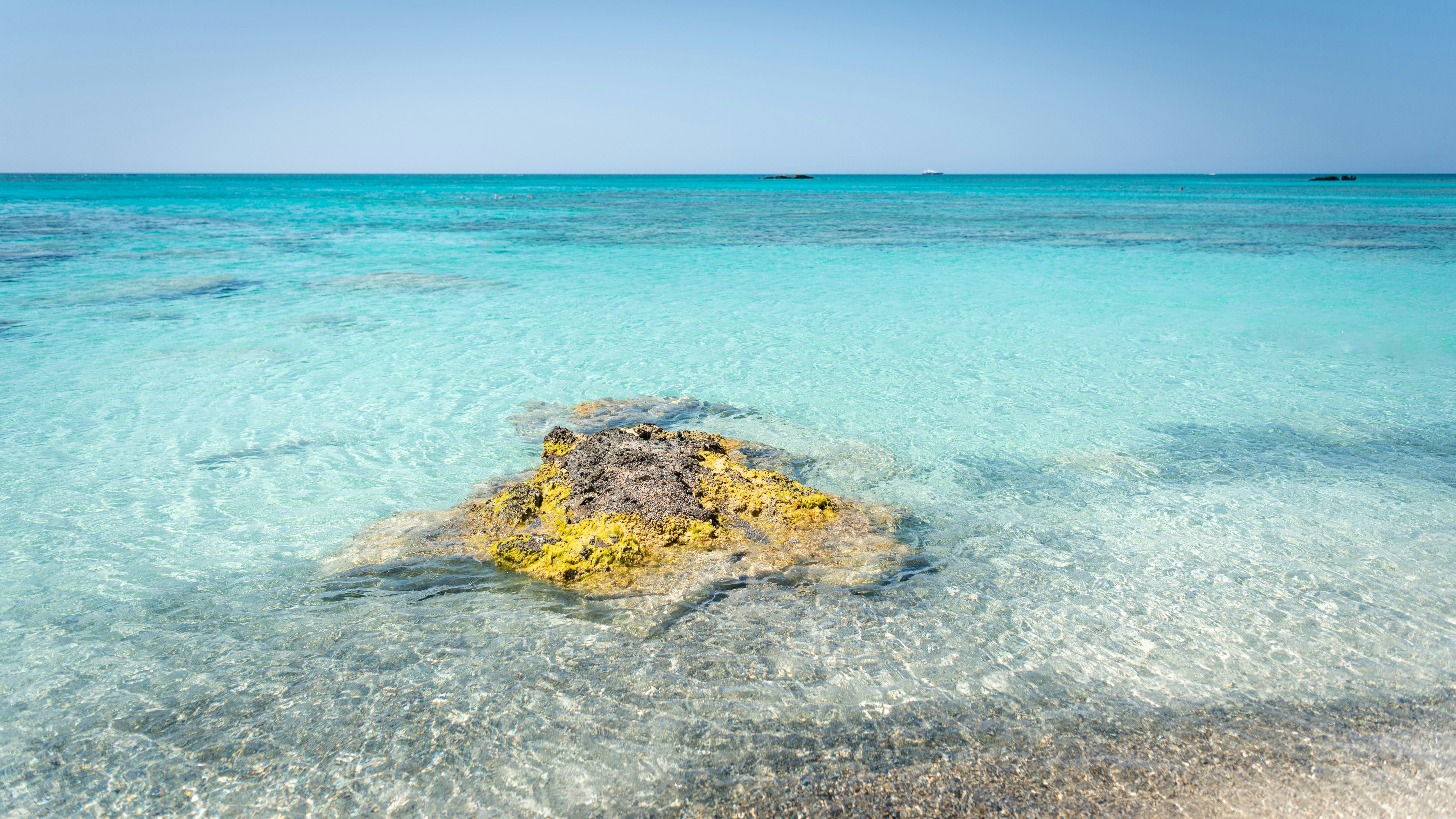 lack of transparency