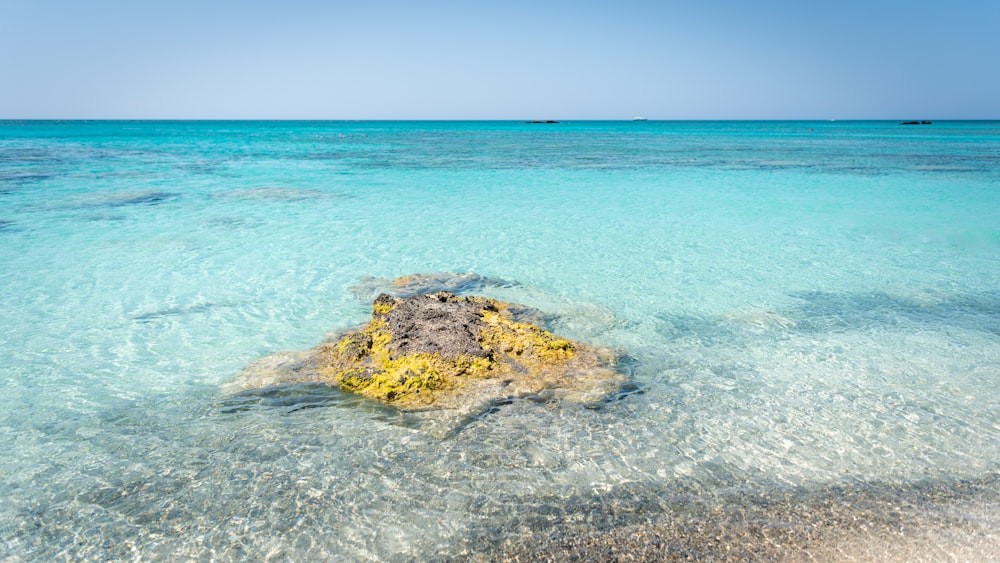 a rock in the middle of a body of water