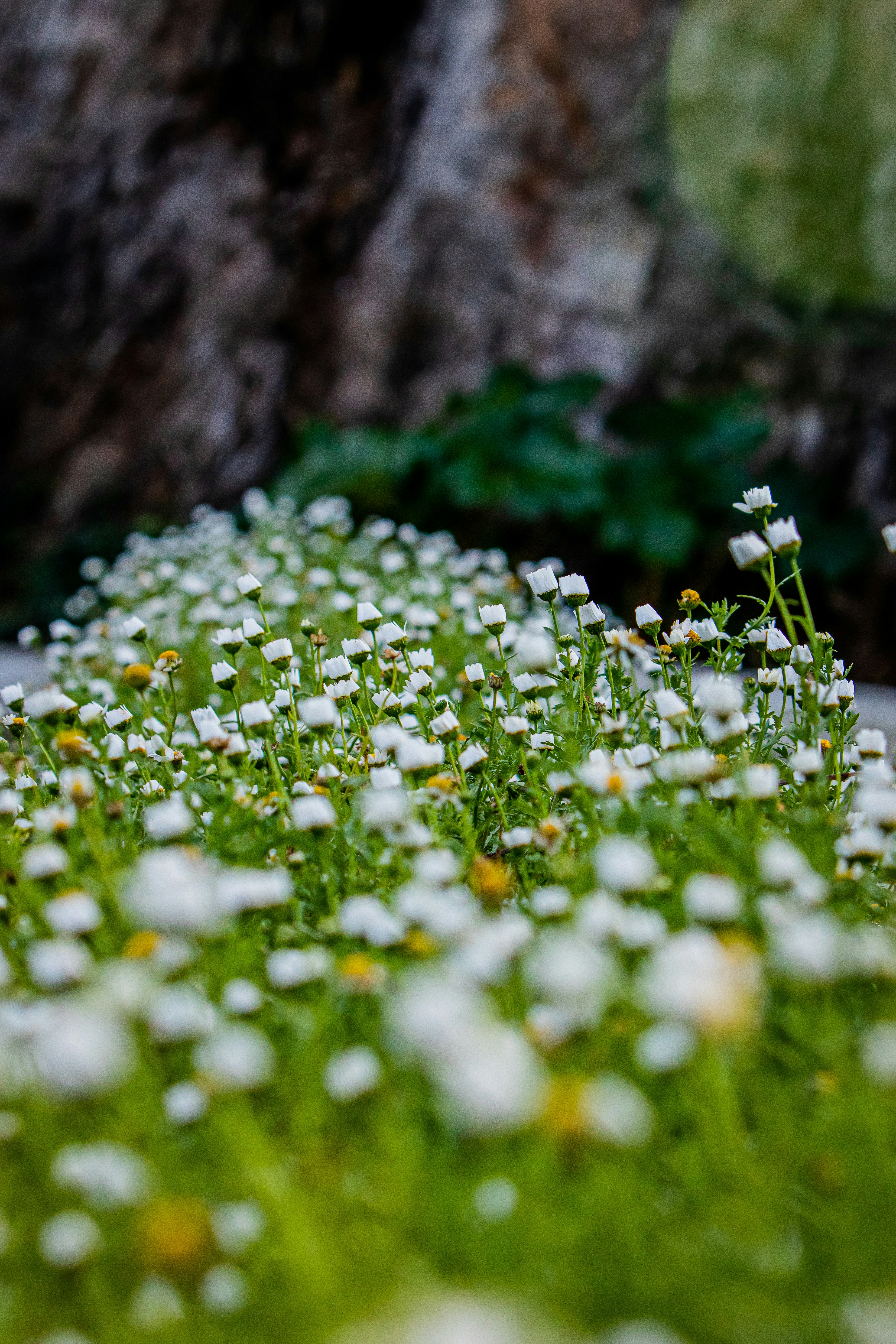 Photo by luwadlinbosman