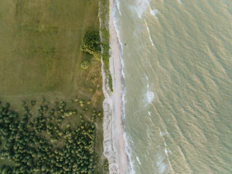 Aerial view of a sunny beachfront land plot with lush greenery and ocean waves nearby.