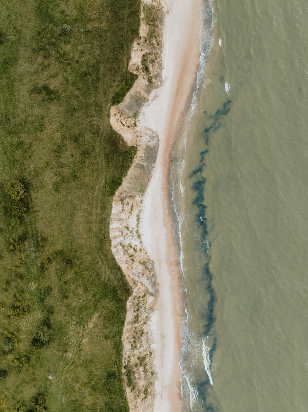 an aerial view of a beach and a body of water