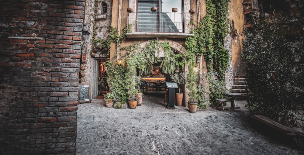 a brick building with ivy growing on the side of it