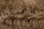 A close-up of a texture-rich wig, emphasizing its quality materials.