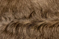 Close-up of a 3D rendered hair texture highlighting fine details and realistic strands.