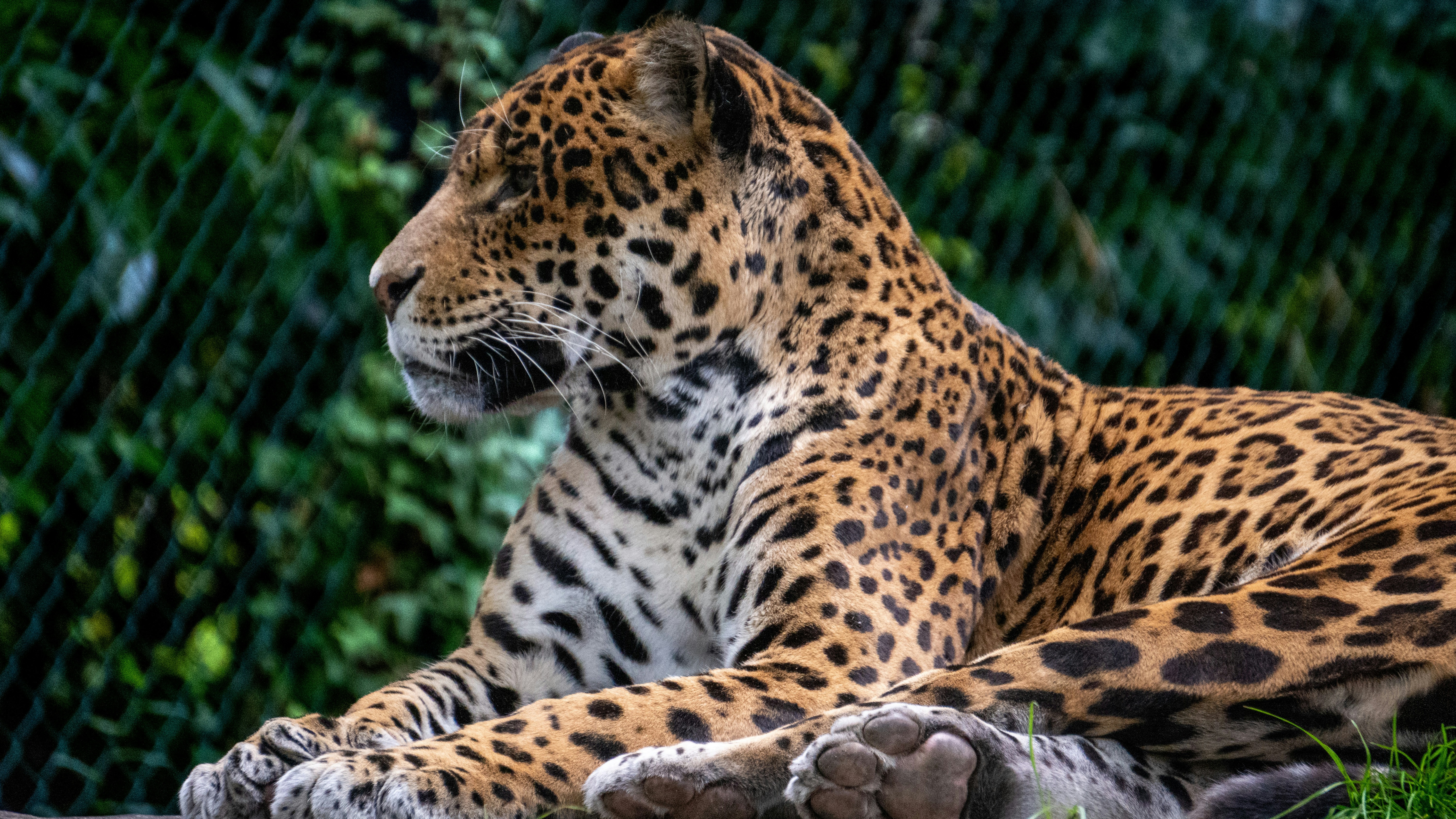 Photo by eyesonperspective