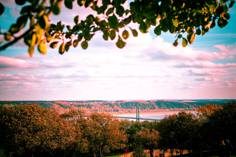 a scenic view of a river and a bridge