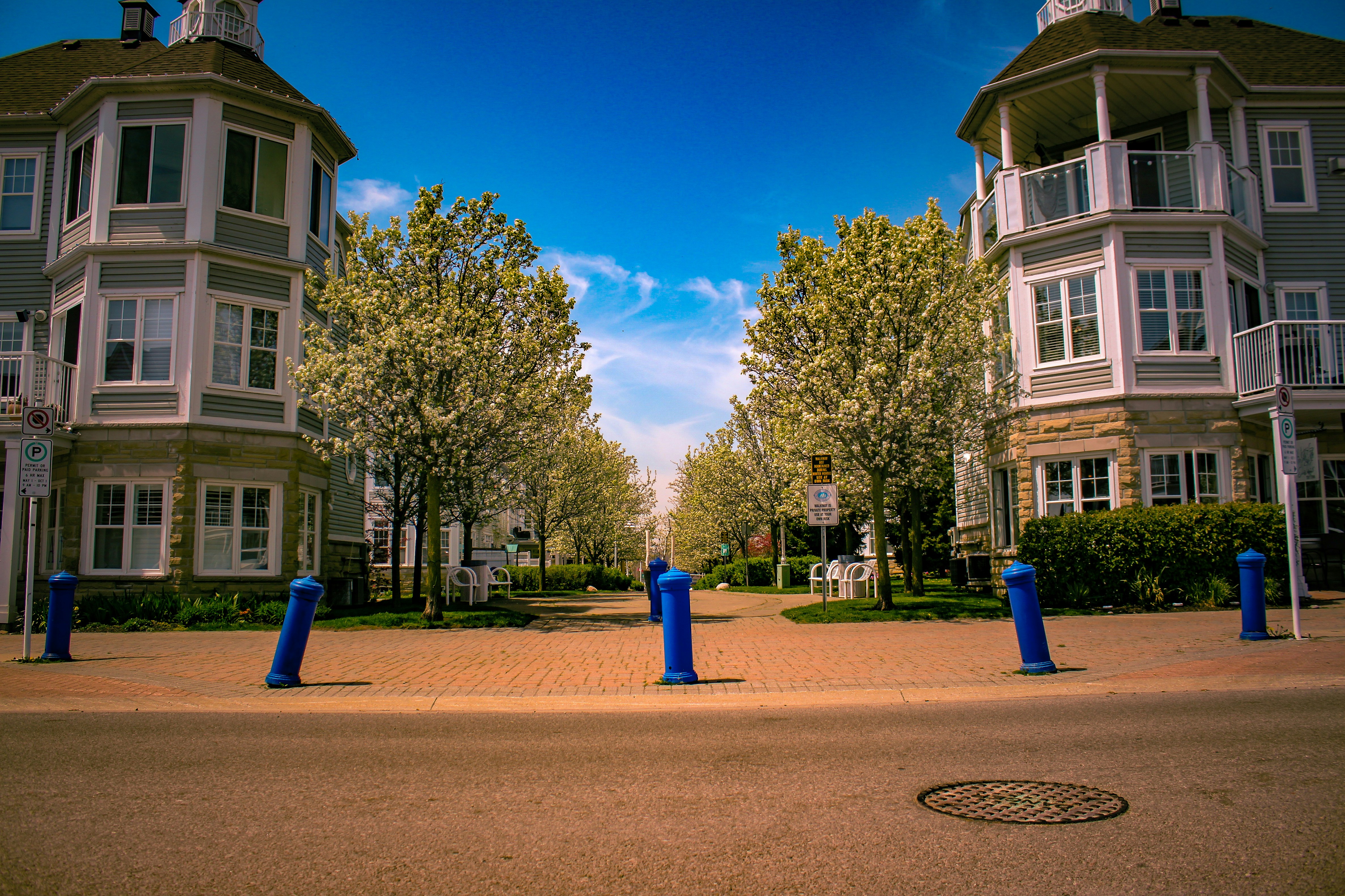 Una boca de incendios azul sentada al costado de una carretera