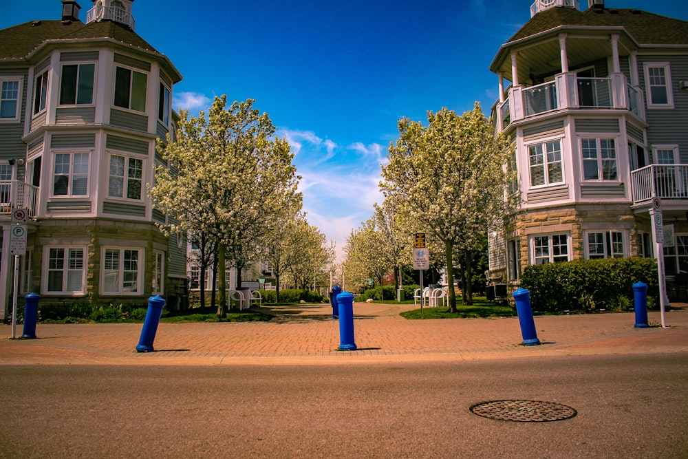 a blue fire hydrant sitting on the side of a road