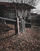 Wooden and metal clothespins are clipped onto a clothesline, with a blurred background of a house and leafless trees. The ground is covered with fallen leaves, suggesting an autumn setting. The focus is sharp on the clothespins, with the rest of the scene gradually fading out of focus.