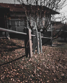 Wooden and metal clothespins are clipped onto a clothesline, with a blurred background of a house and leafless trees. The ground is covered with fallen leaves, suggesting an autumn setting. The focus is sharp on the clothespins, with the rest of the scene gradually fading out of focus.