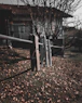 Wooden and metal clothespins are clipped onto a clothesline, with a blurred background of a house and leafless trees. The ground is covered with fallen leaves, suggesting an autumn setting. The focus is sharp on the clothespins, with the rest of the scene gradually fading out of focus.
