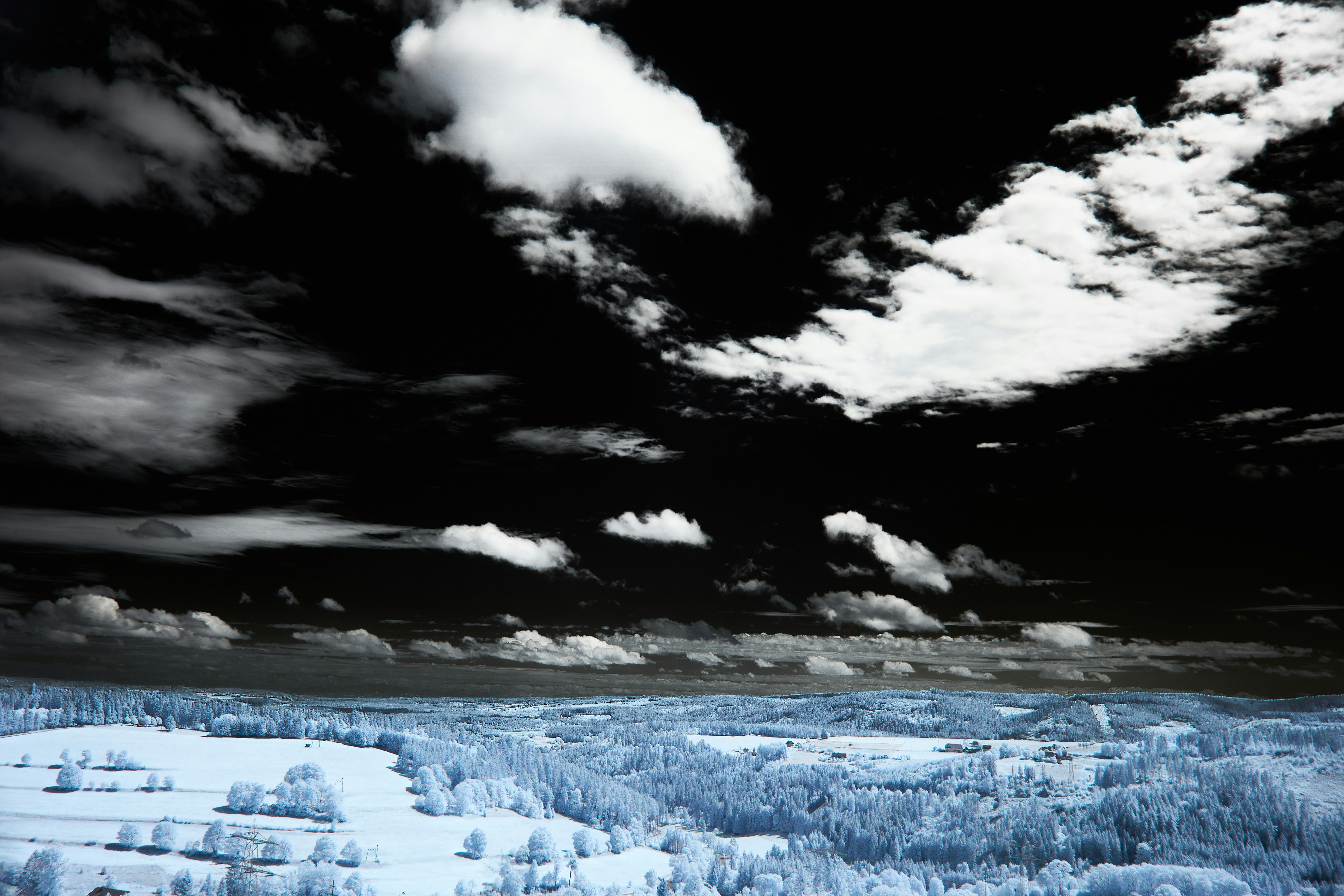 Photo by wolfgang_hasselmann