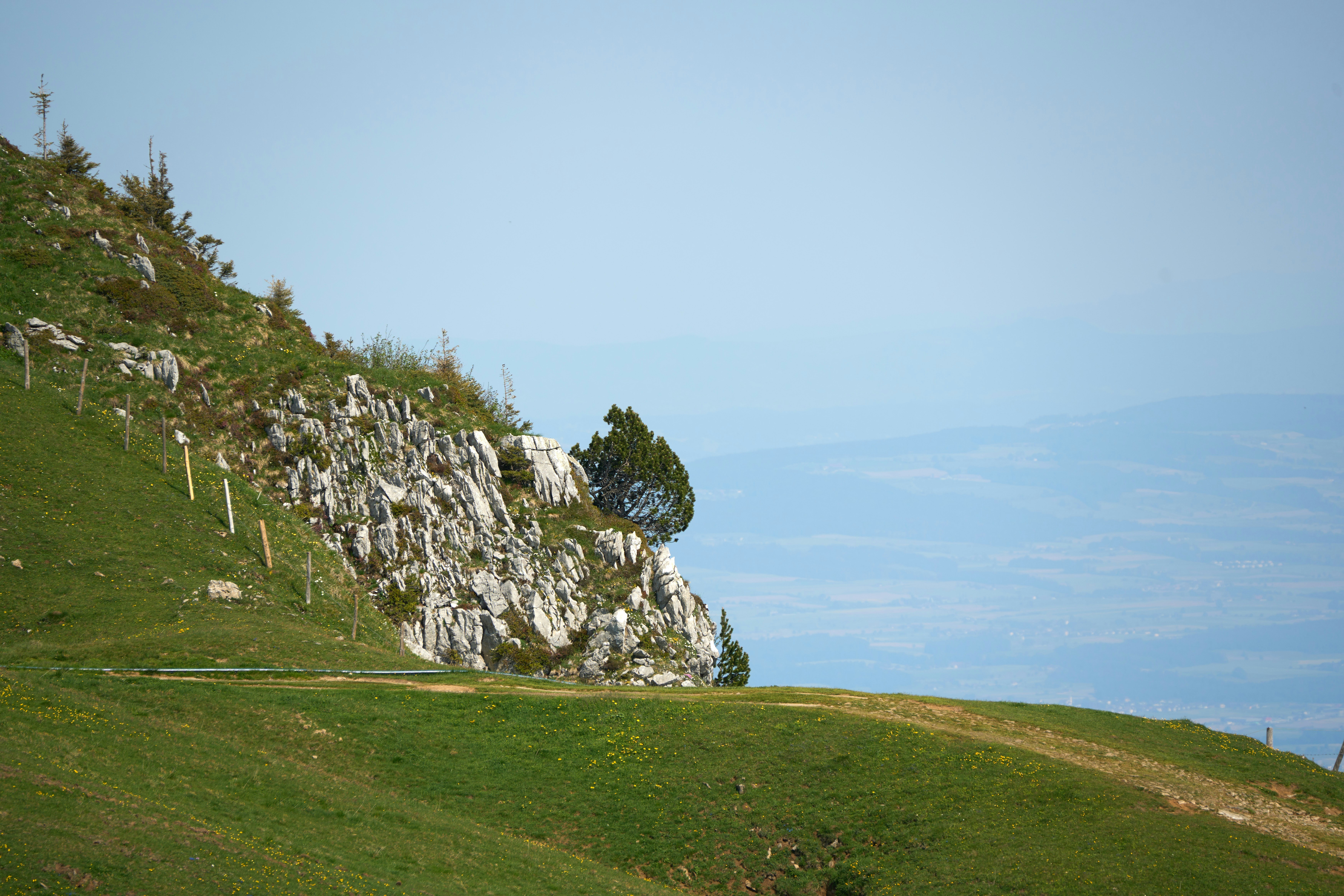 Photo by wolfgang_hasselmann