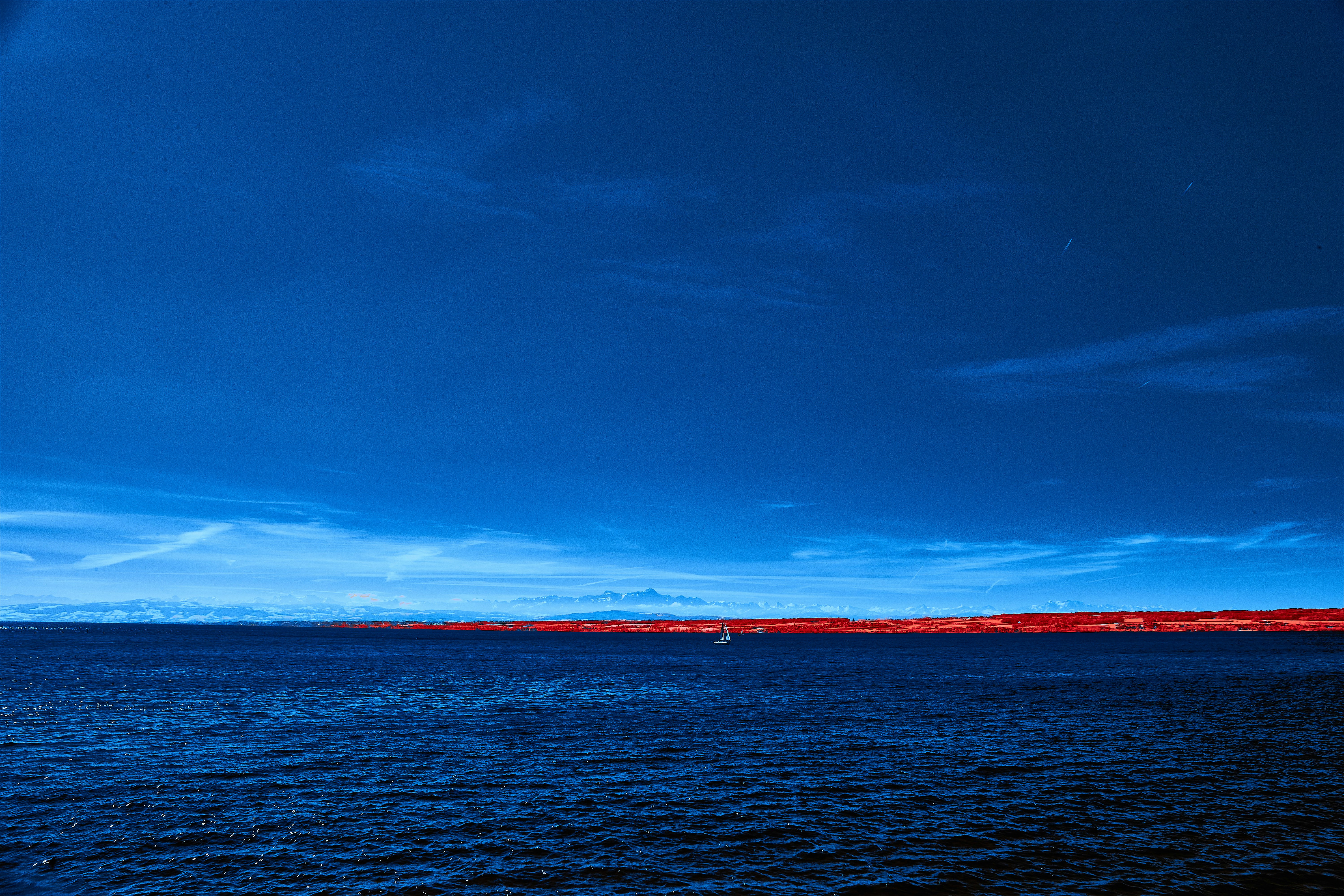 Photo by wolfgang_hasselmann