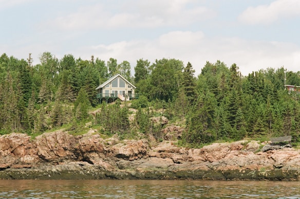 A house with a large windowed facade is nestled among dense green trees on a rocky hillside, overlooking a body of calm water. The setting suggests a serene and secluded retreat amidst nature.