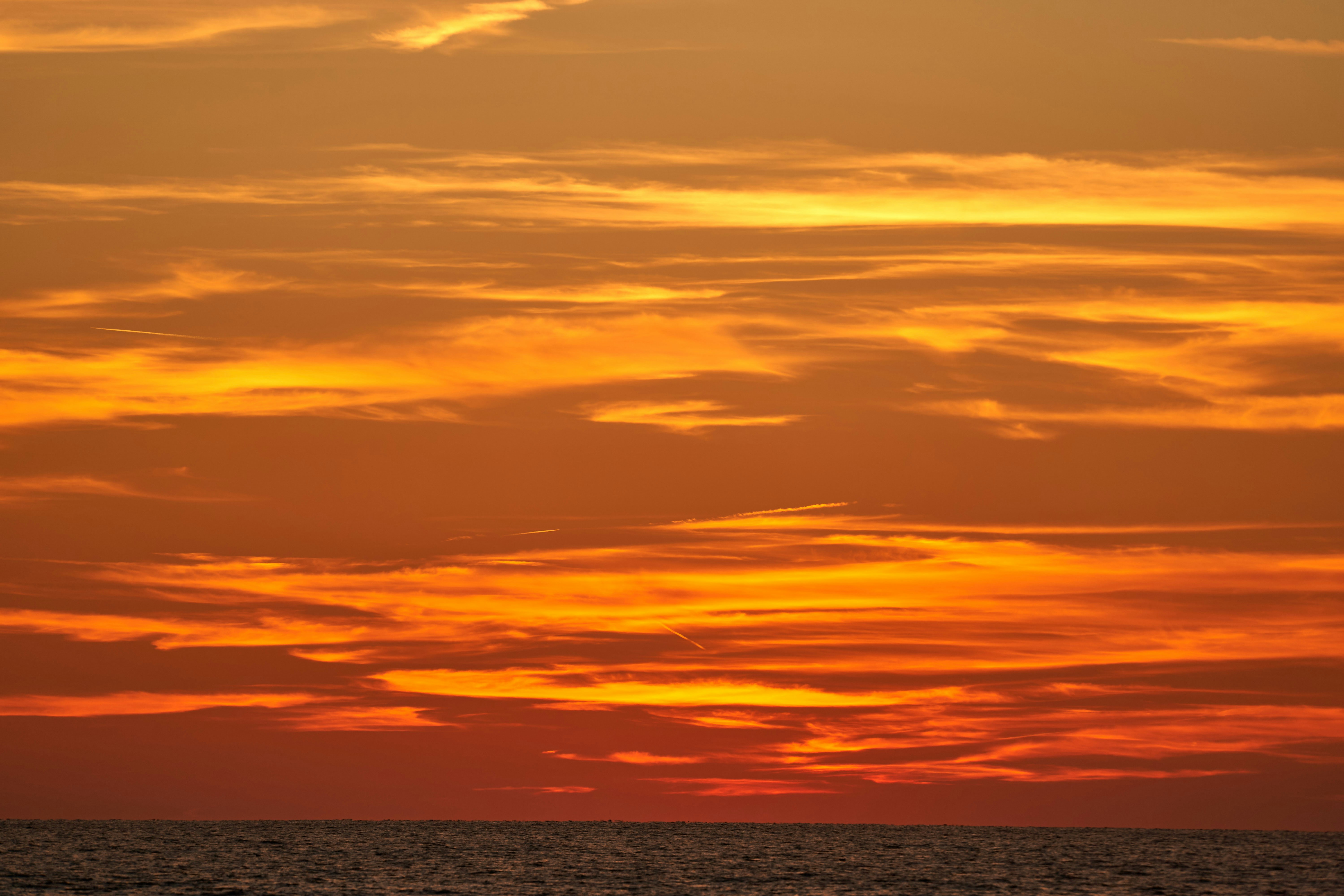 Photo by wolfgang_hasselmann