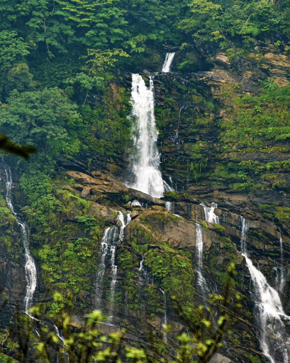 Ein großer Wasserfall mitten im Wald