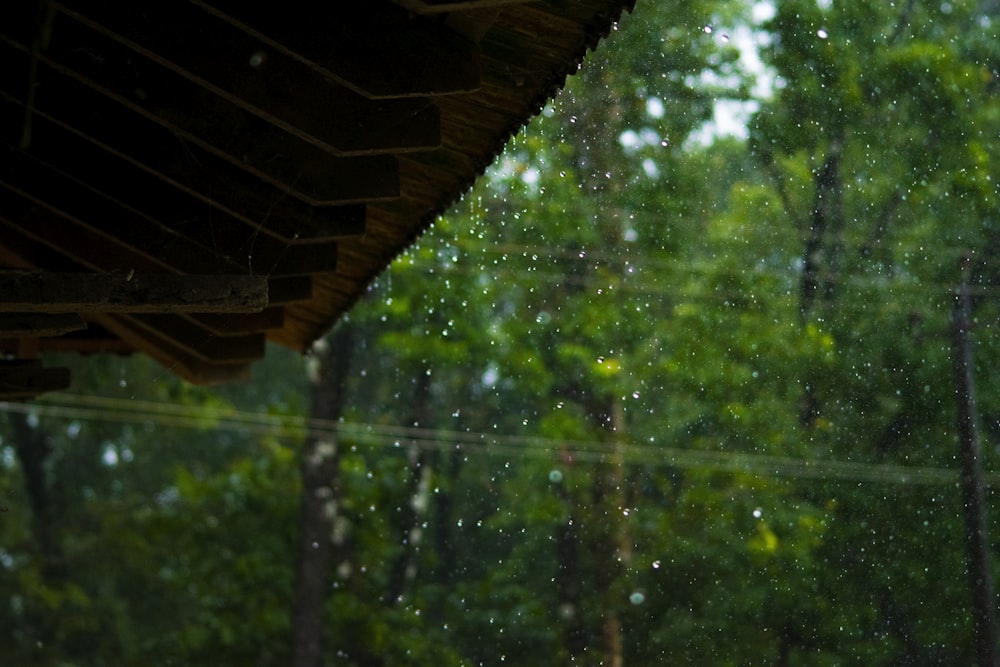 a view of a forest through a rain covered window