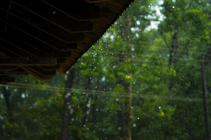Forest seen through a rain covered window