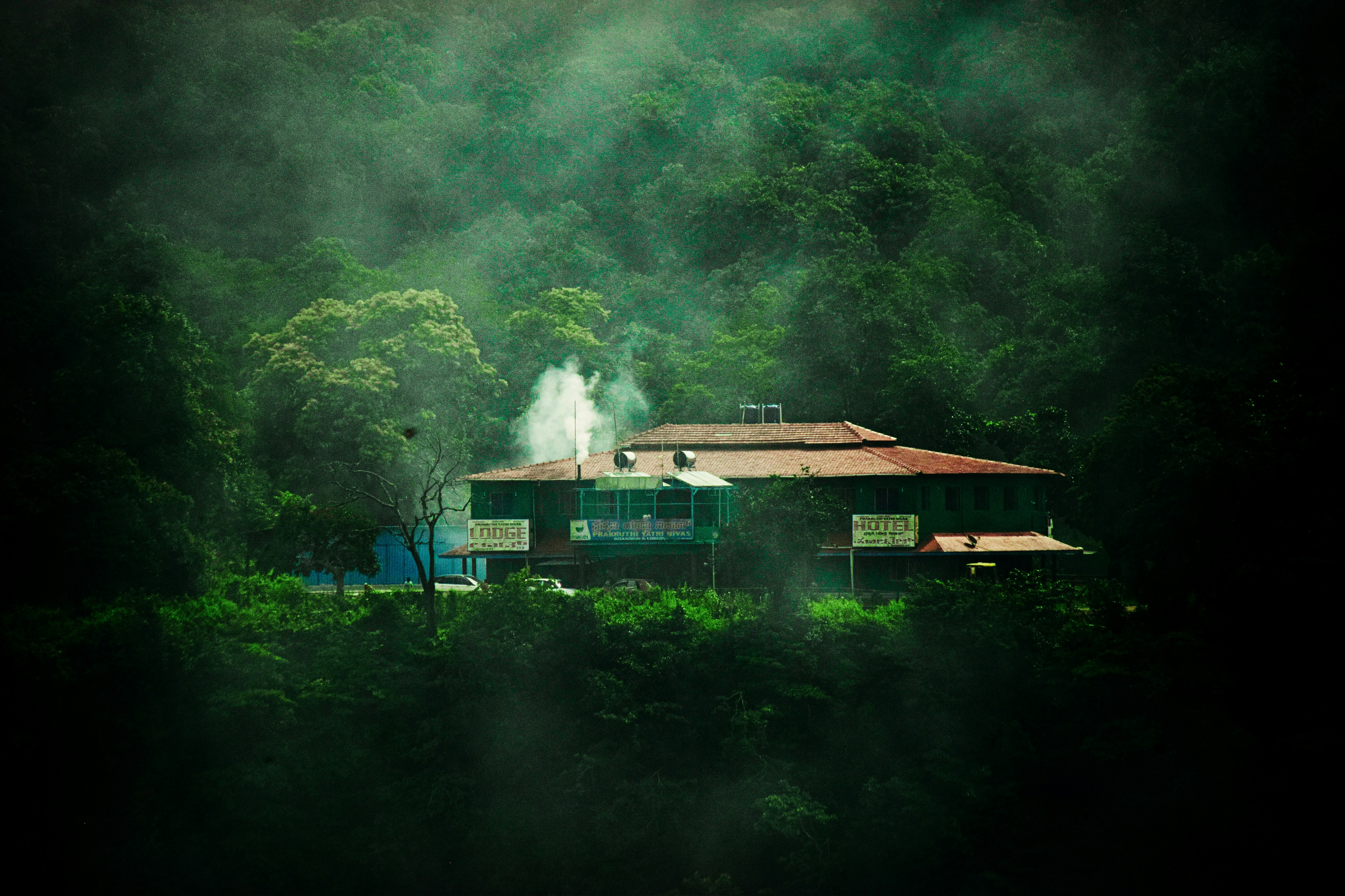 A lodge or hotel is nestled among dense, green forest with mist surrounding the area. White smoke is visible rising from the building, suggesting an isolated, serene setting.