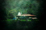 A lodge or hotel is nestled among dense, green forest with mist surrounding the area. White smoke is visible rising from the building, suggesting an isolated, serene setting.