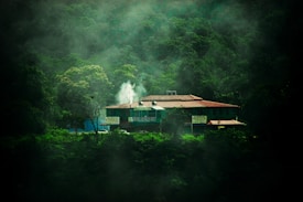 A lodge or hotel is nestled among dense, green forest with mist surrounding the area. White smoke is visible rising from the building, suggesting an isolated, serene setting.