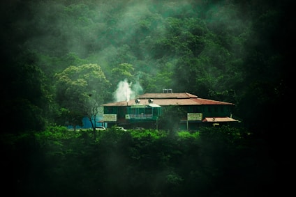 A lodge or hotel is nestled among dense, green forest with mist surrounding the area. White smoke is visible rising from the building, suggesting an isolated, serene setting.