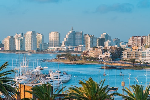 a view of a city with boats in the water