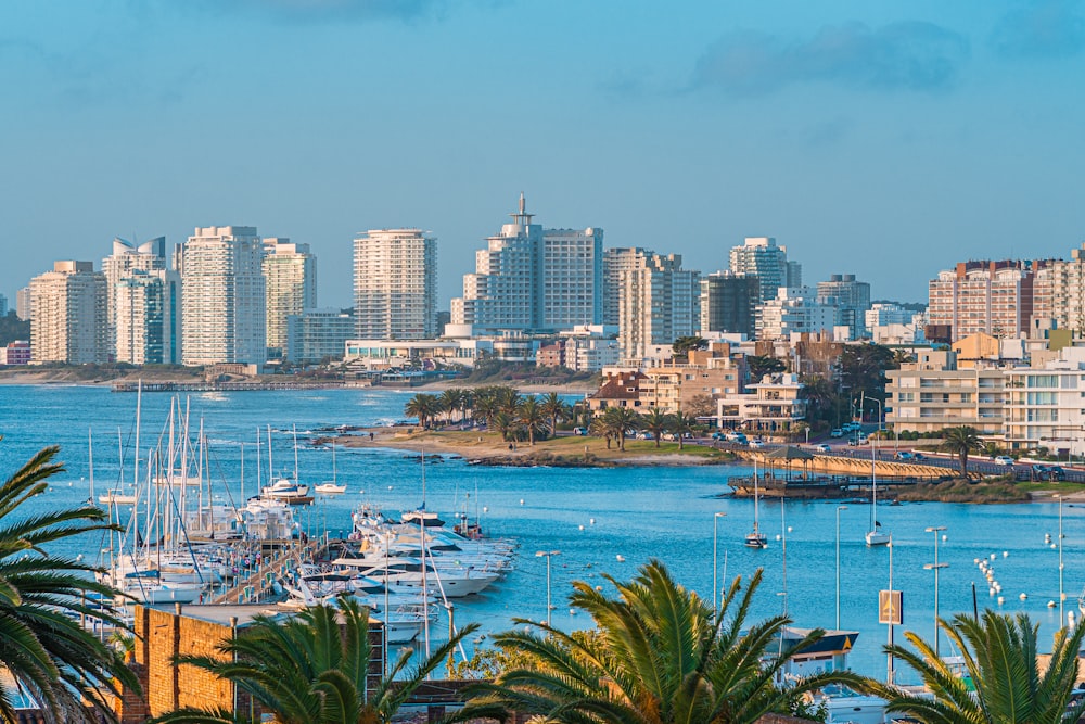 a view of a city with boats in the water