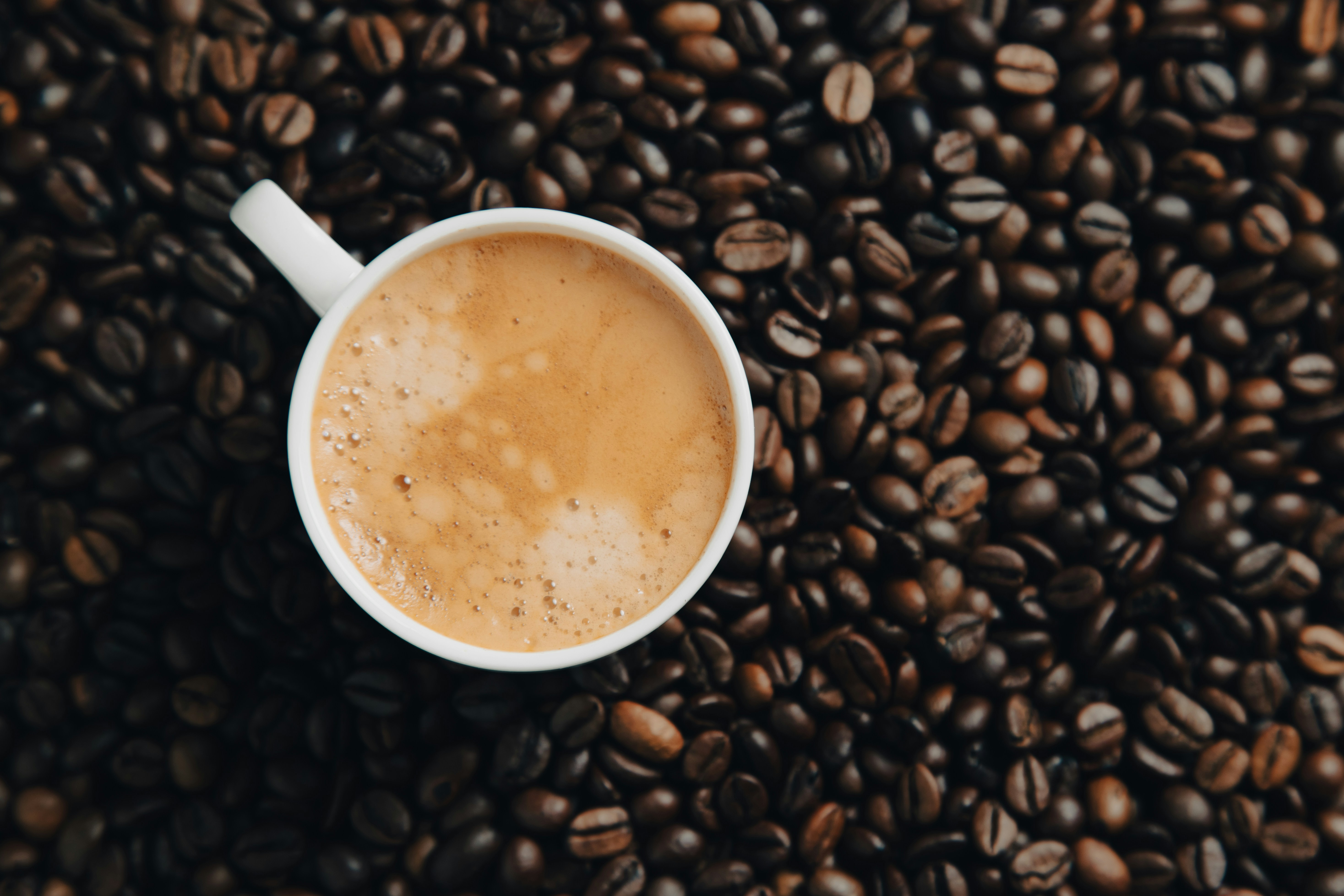 Photo by alexandristom