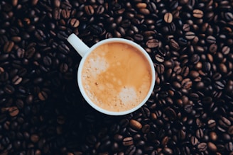 A white coffee cup filled with light brown frothy coffee is centered amidst a backdrop of dark roasted coffee beans.
