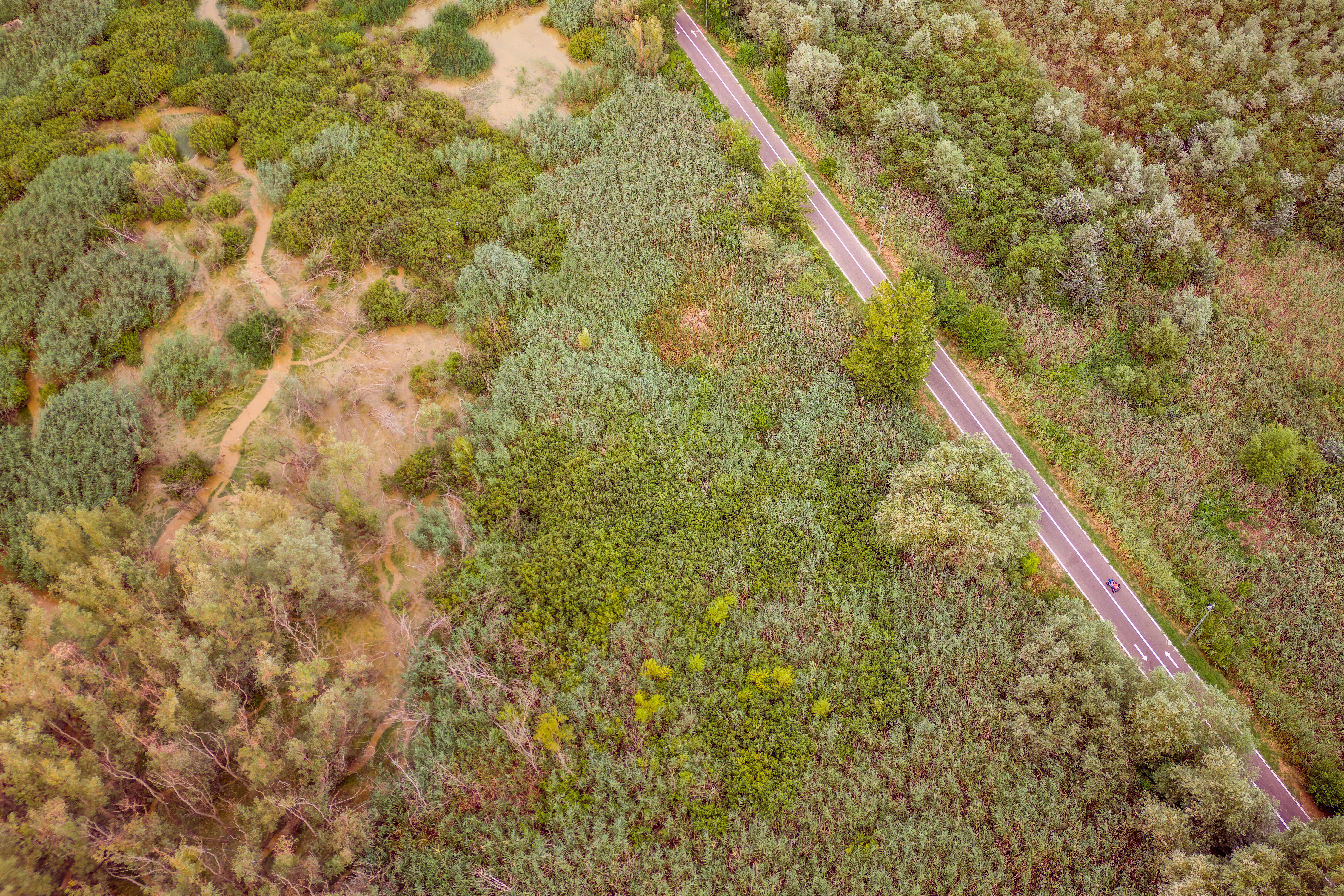 Photo by photonaturero