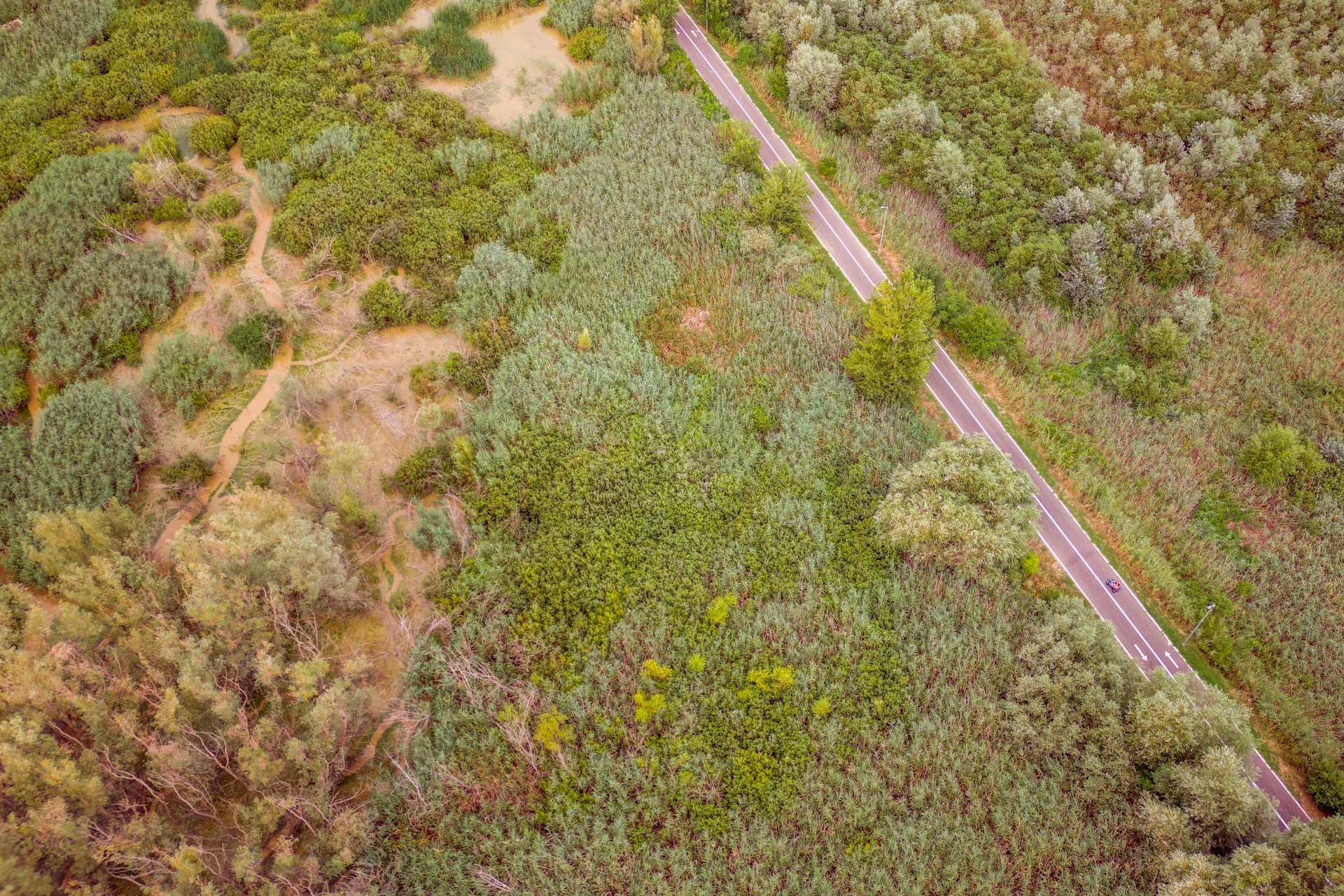 an aerial view of a road surrounded by trees