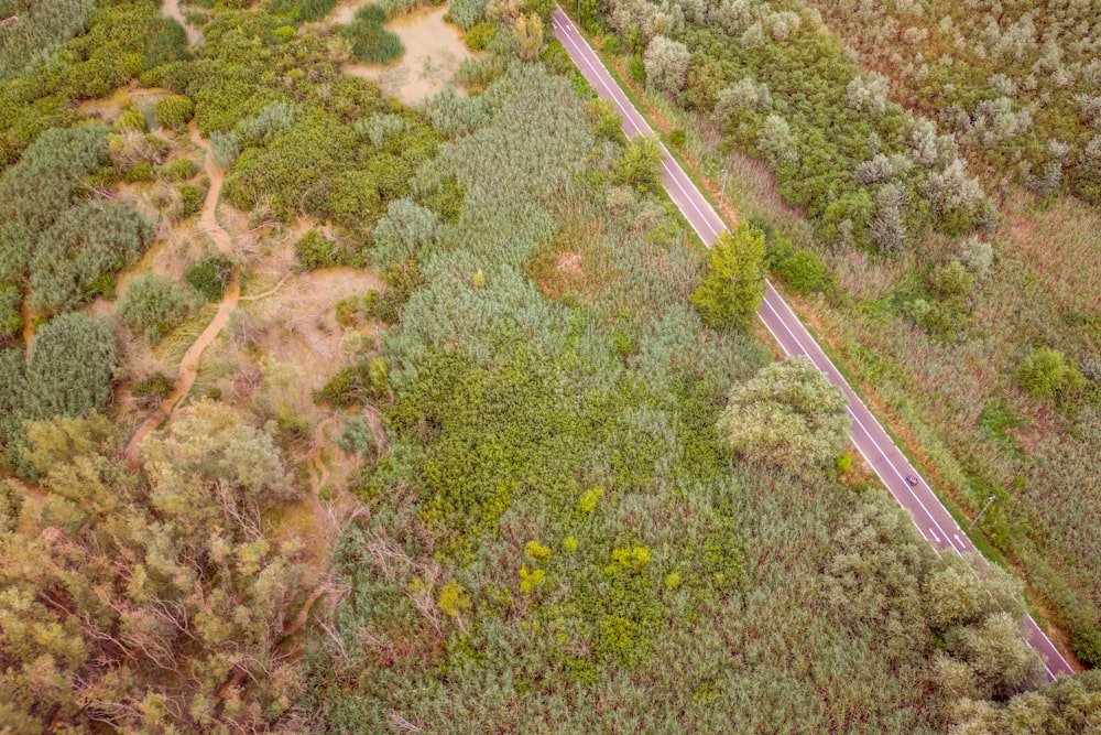 an aerial view of a road surrounded by trees