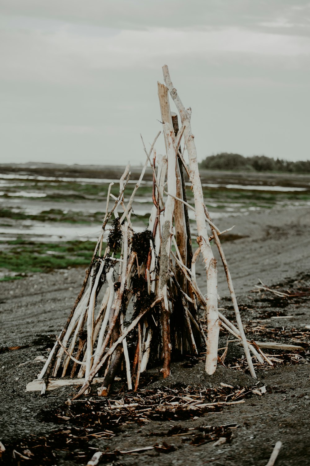 a pile of sticks sitting on top of a sandy beach