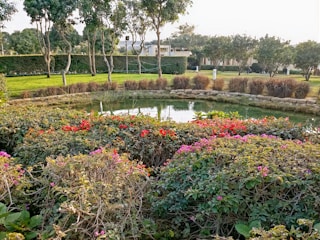 A beautifully landscaped garden featuring a small pond surrounded by rocks. Vibrant red and pink flowers create a colorful border in front of the pond. In the background, neatly trimmed hedges and trees create a serene park-like atmosphere. Shadows and sunlight interplay to enhance the natural setting.