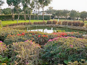 A beautifully landscaped garden featuring a naturalistic ornamental pond with rocks and plants