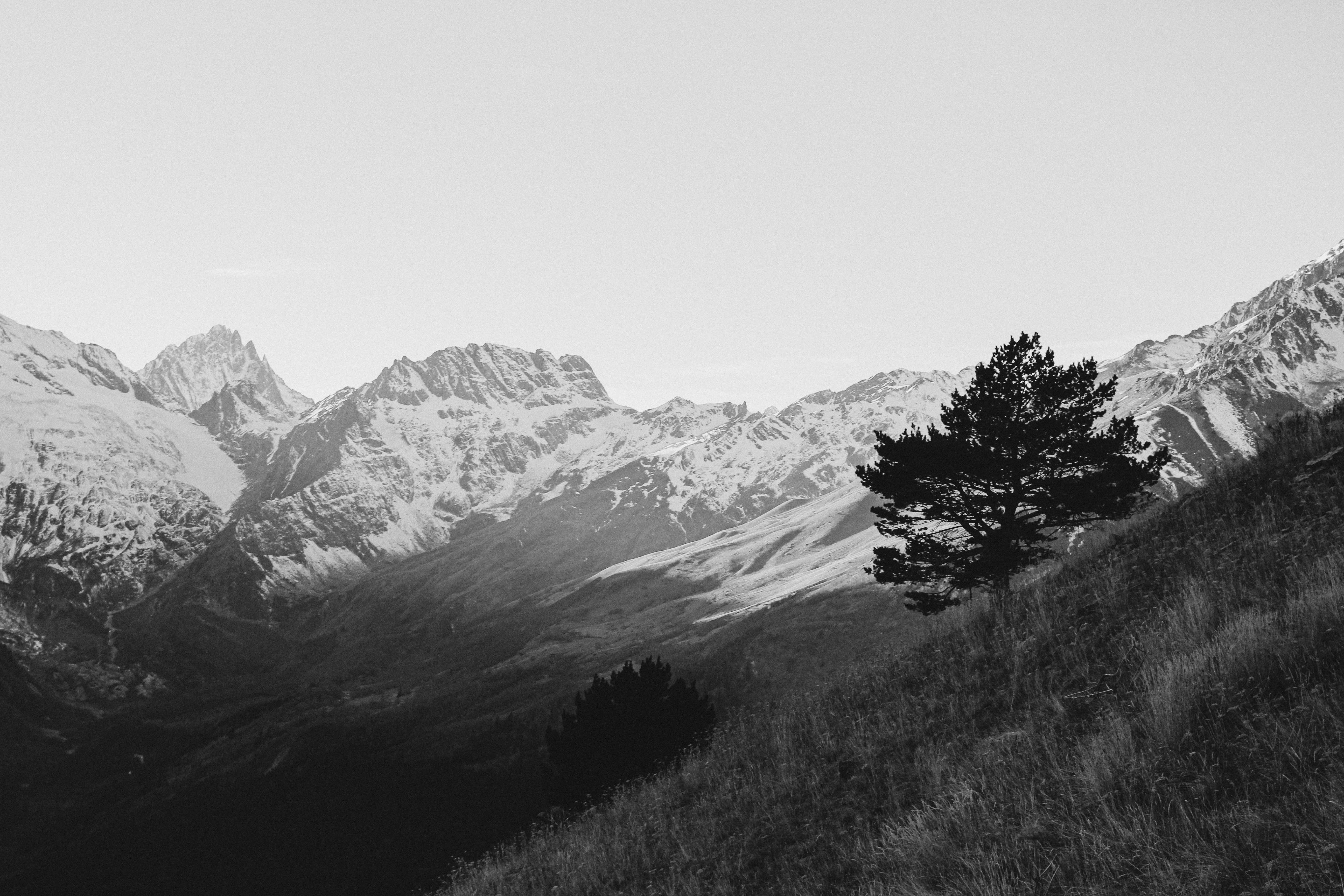 Photo by yasminpeyman