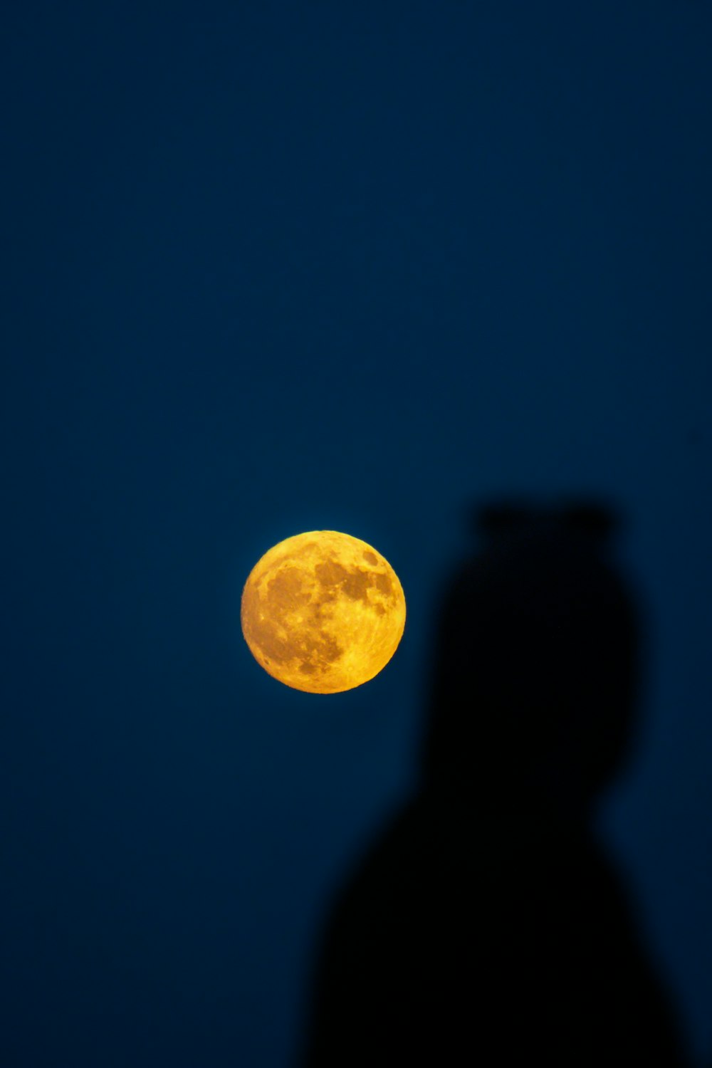 a person standing in front of a full moon