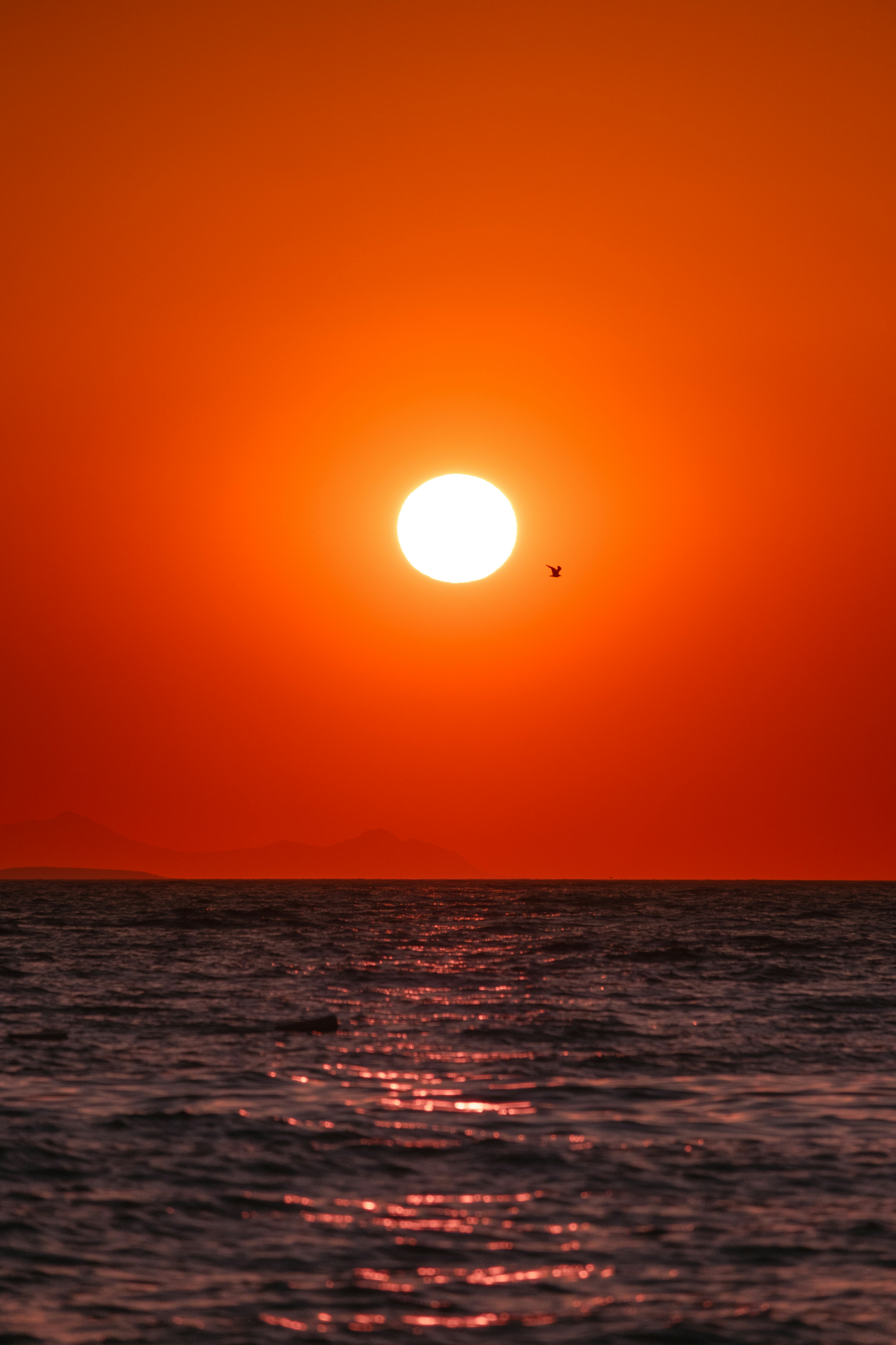 Photo by haticebaran