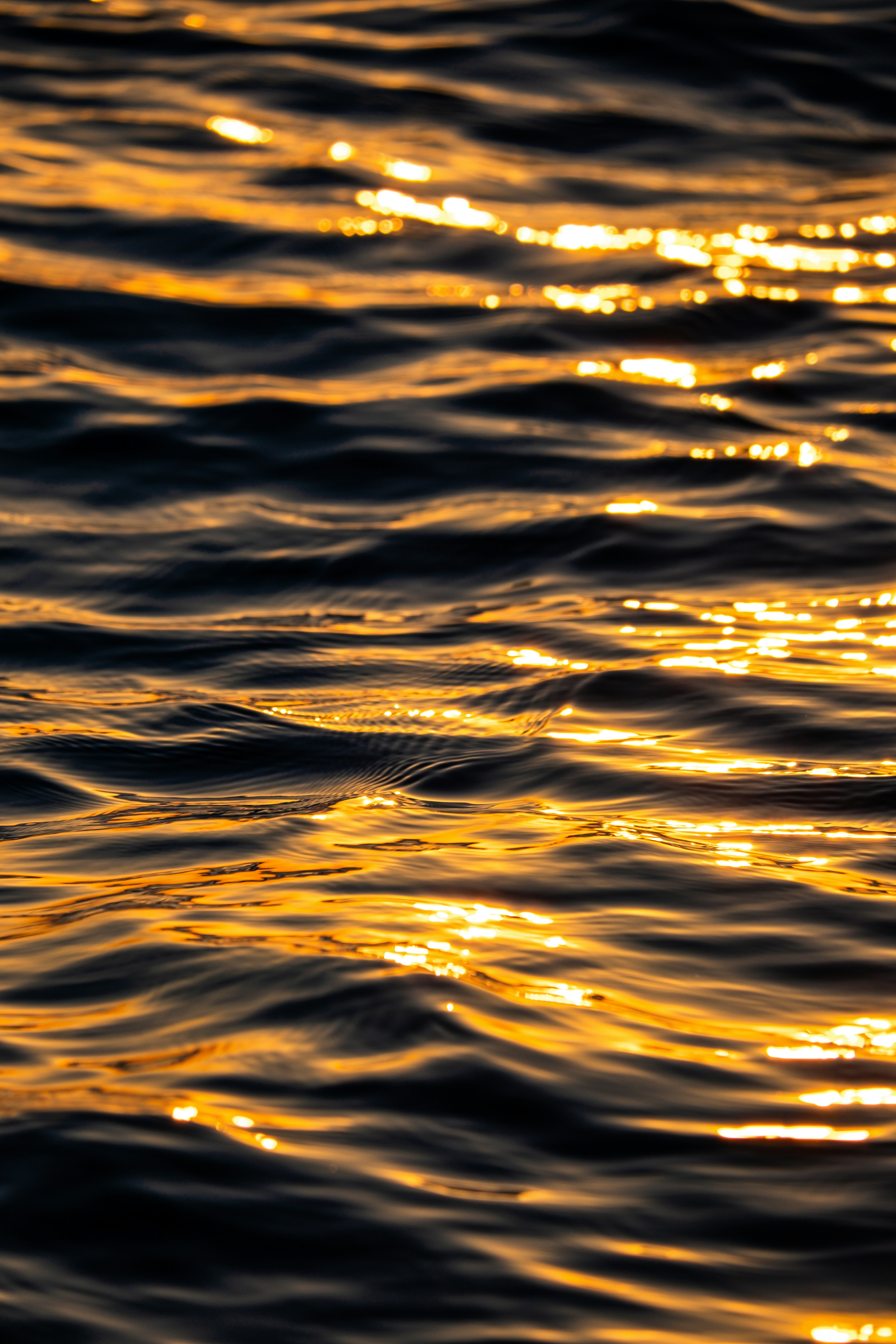 Photo by haticebaran